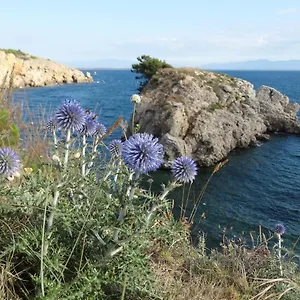 https://apartamento-punta-montgo-port-de-rei.topcostabravahotels.com