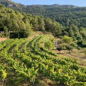  Сasa de vacaciones El Celler De Cal Garriga